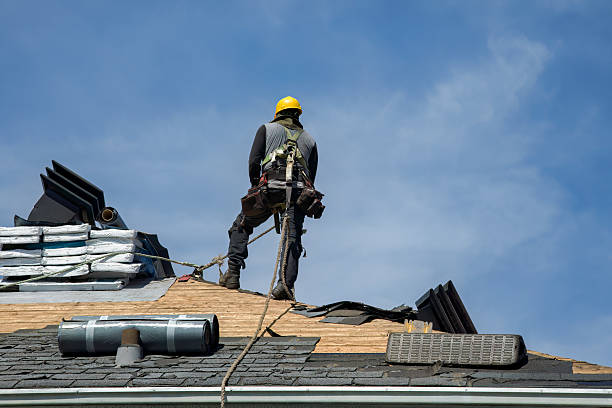 Professional Roof Replacement technician working in Utica, IL